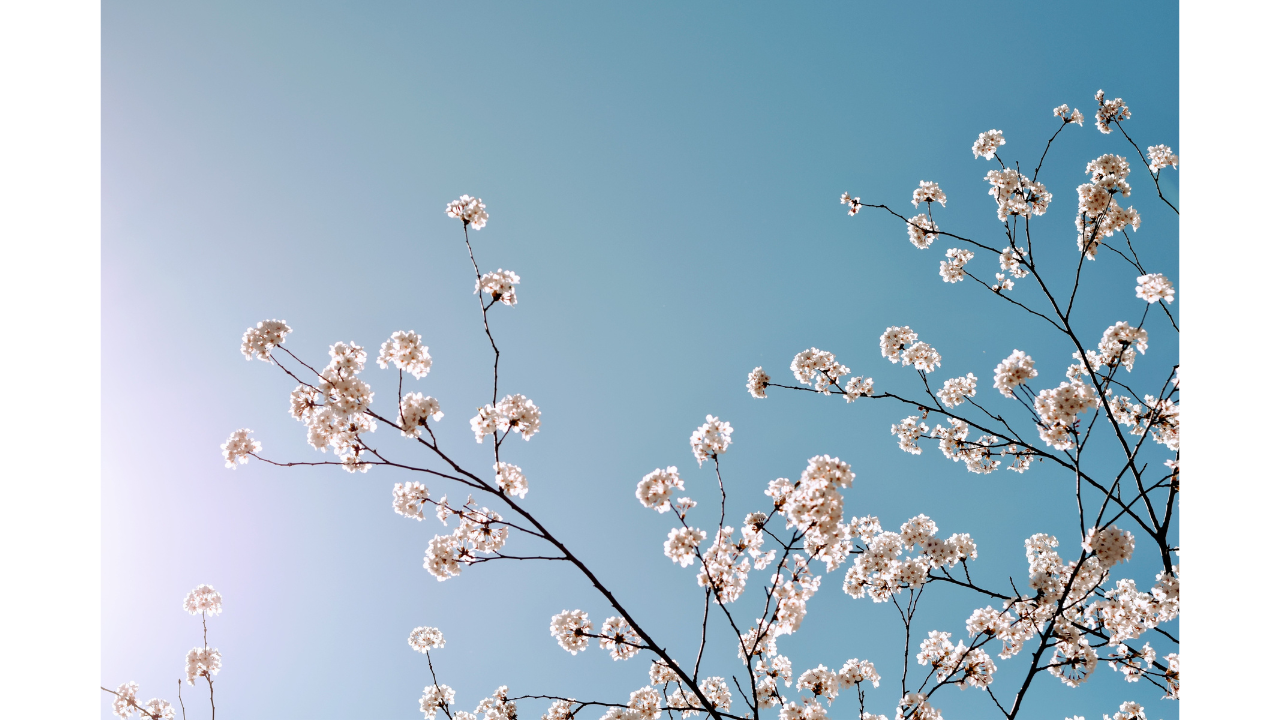 工務店が伝えたい、春に向けたリフォーム・建て替えの準備ポイント